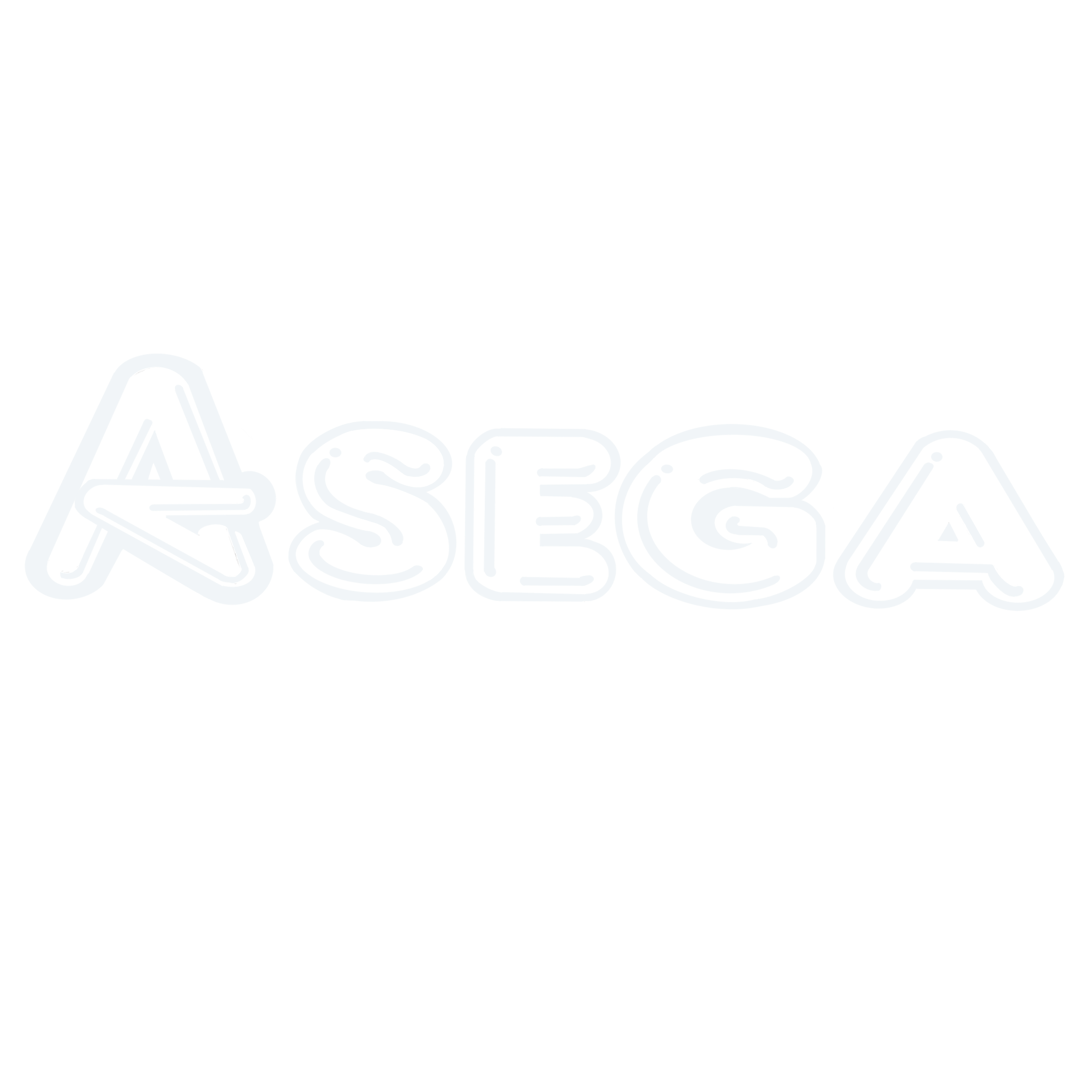 Asega Servicios Empresariales
